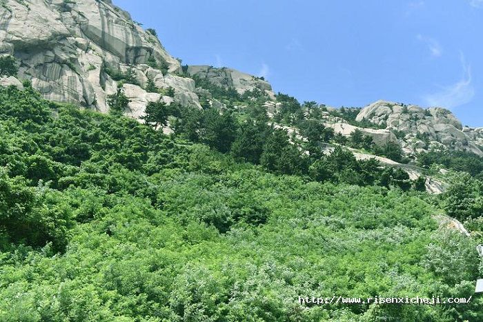 1532313089433200pF19.jpg 圖片2.jpg